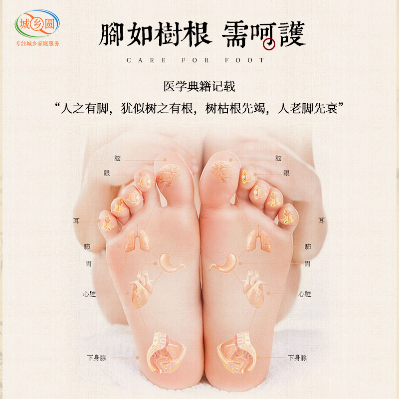 党参地黄茯苓草木泡脚包