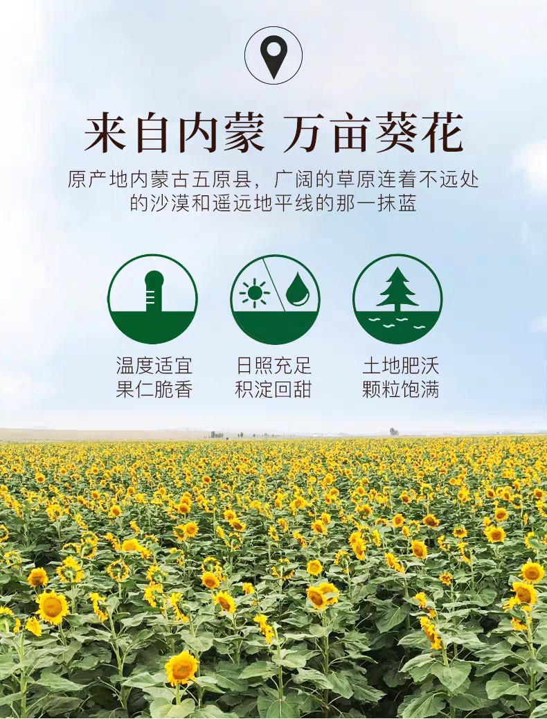 老街口焦糖味五香瓜子