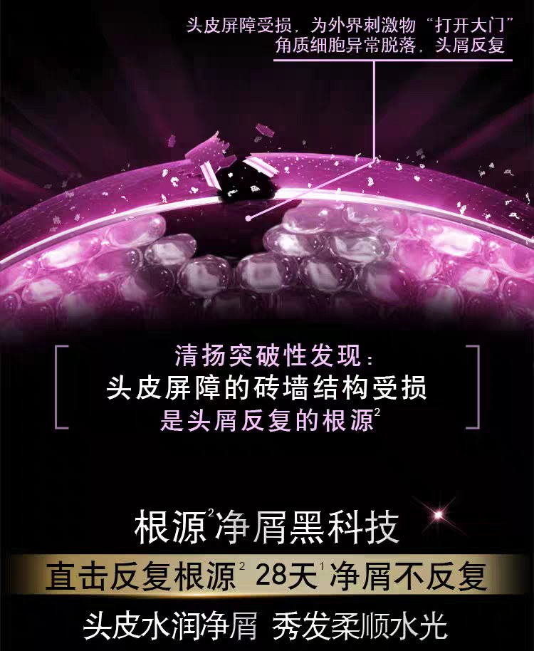 175g、1kg清扬多效水润去屑洗发水