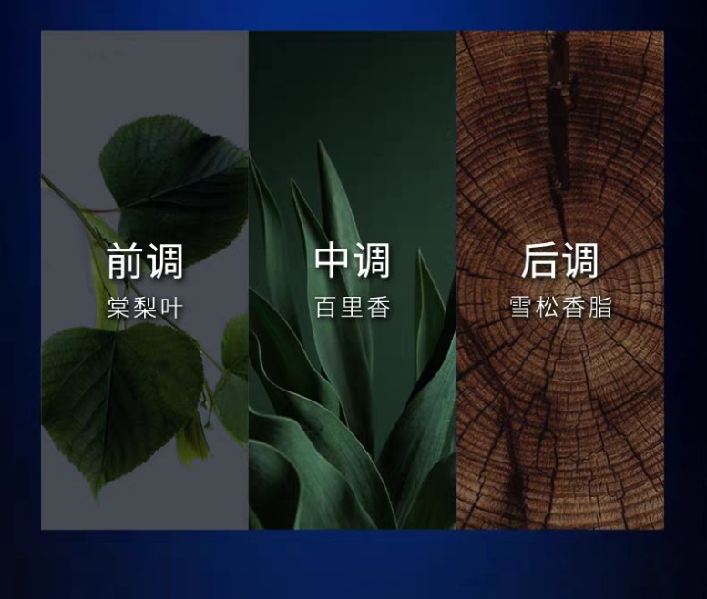 200g清扬男士平衡控油沐浴露 （冰凉酷爽、水润平衡）