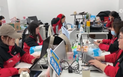 物品收纳、宠物喂养新型家政服务消费热，数字化加持让百姓享受便捷服务