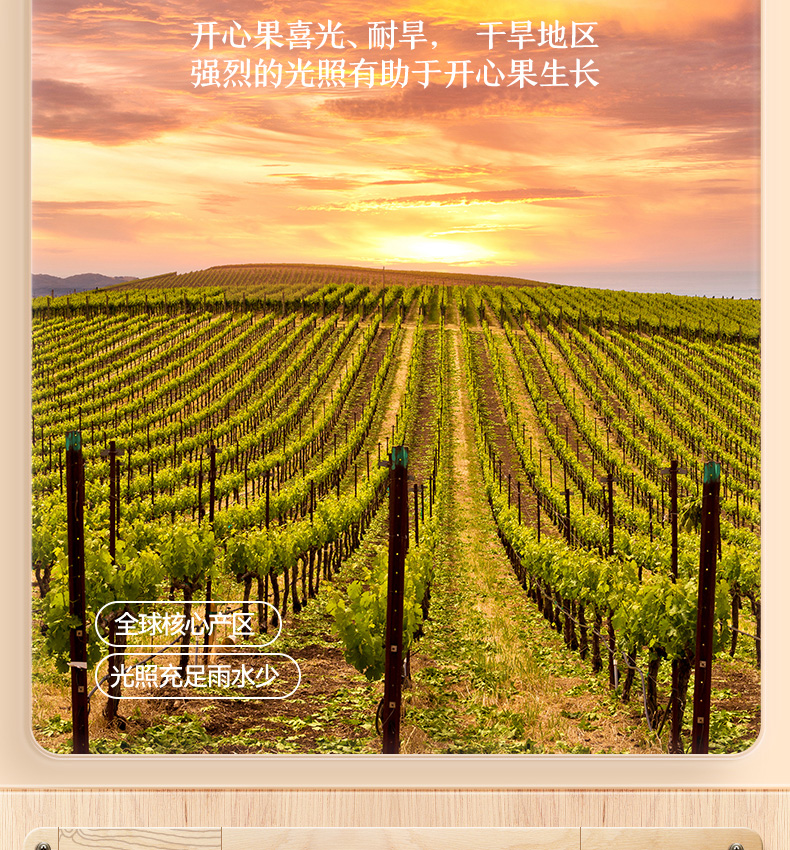 三只松鼠开心果