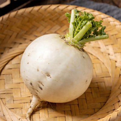 圆白萝卜