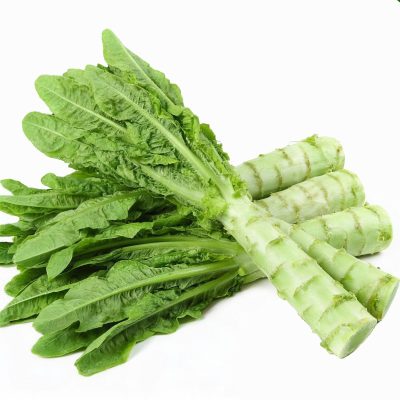 带叶莴笋