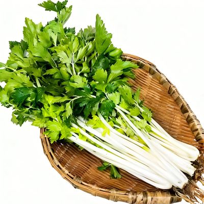 白芹菜