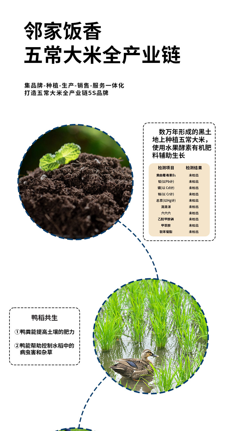 邻家饭香财神献礼五常大米500g