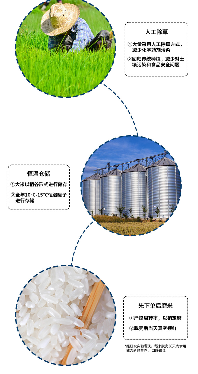 邻家饭香财神献礼五常大米500g