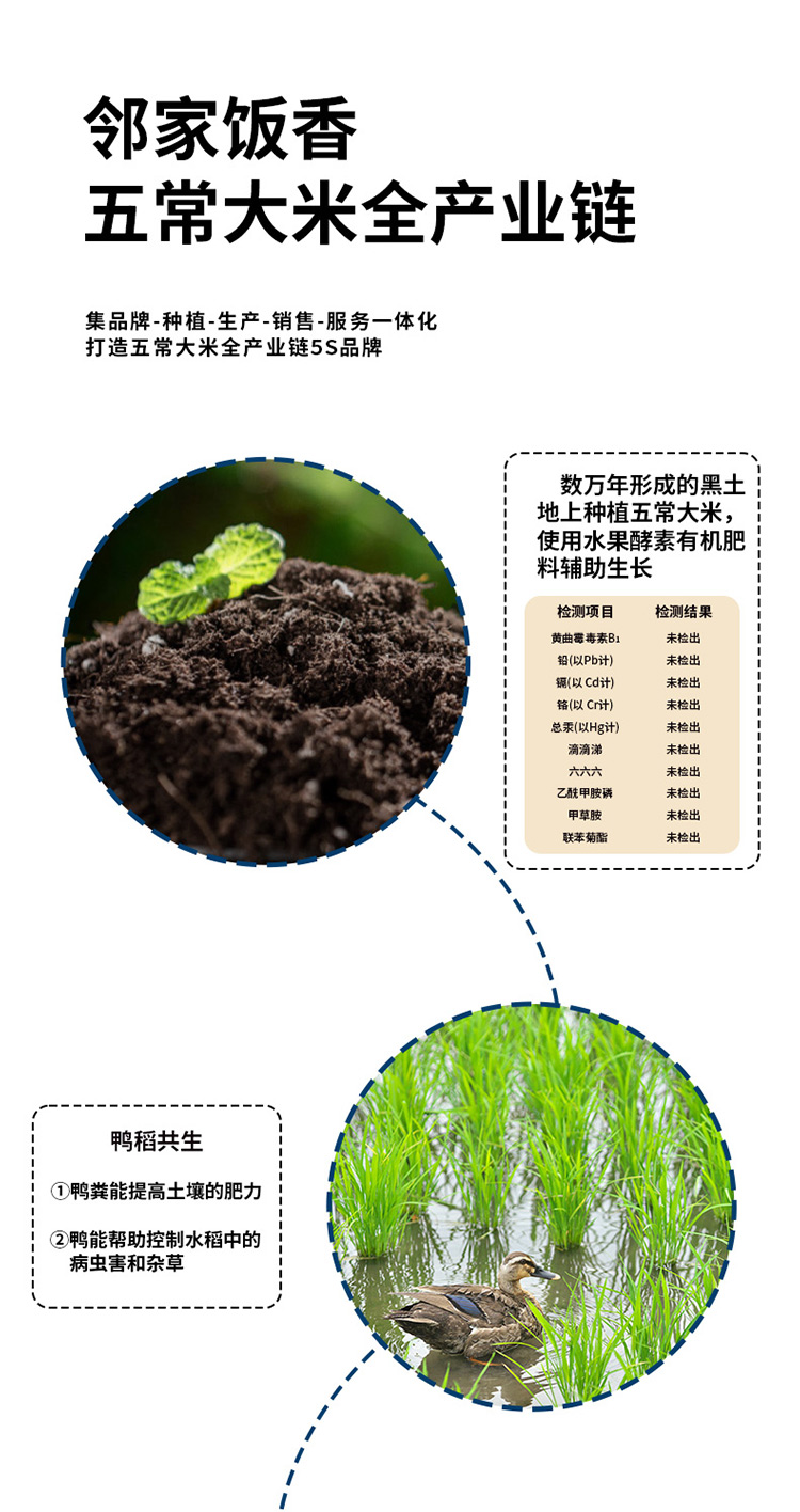 邻家饭香财神献礼五常大米5kg