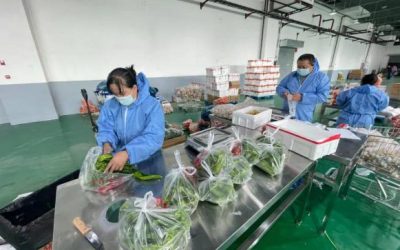 新鲜蔬菜配送有哪些问题及配送难题