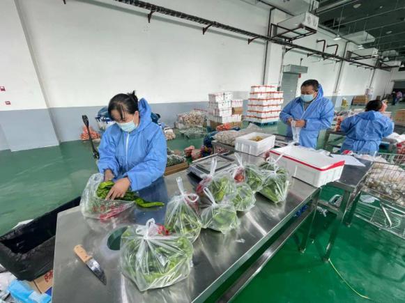 新鲜蔬菜配送有哪些问题及配送难题