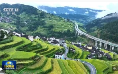 聚焦民生“微实事”，构建家庭一站式服务新体系