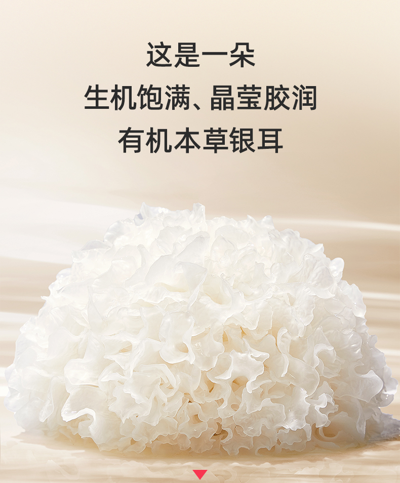 姚淑先本草银耳16天周期装48g