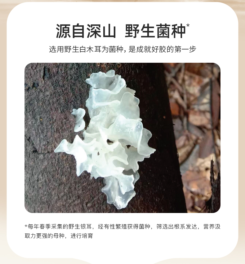 姚淑先本草银耳16天周期装48g