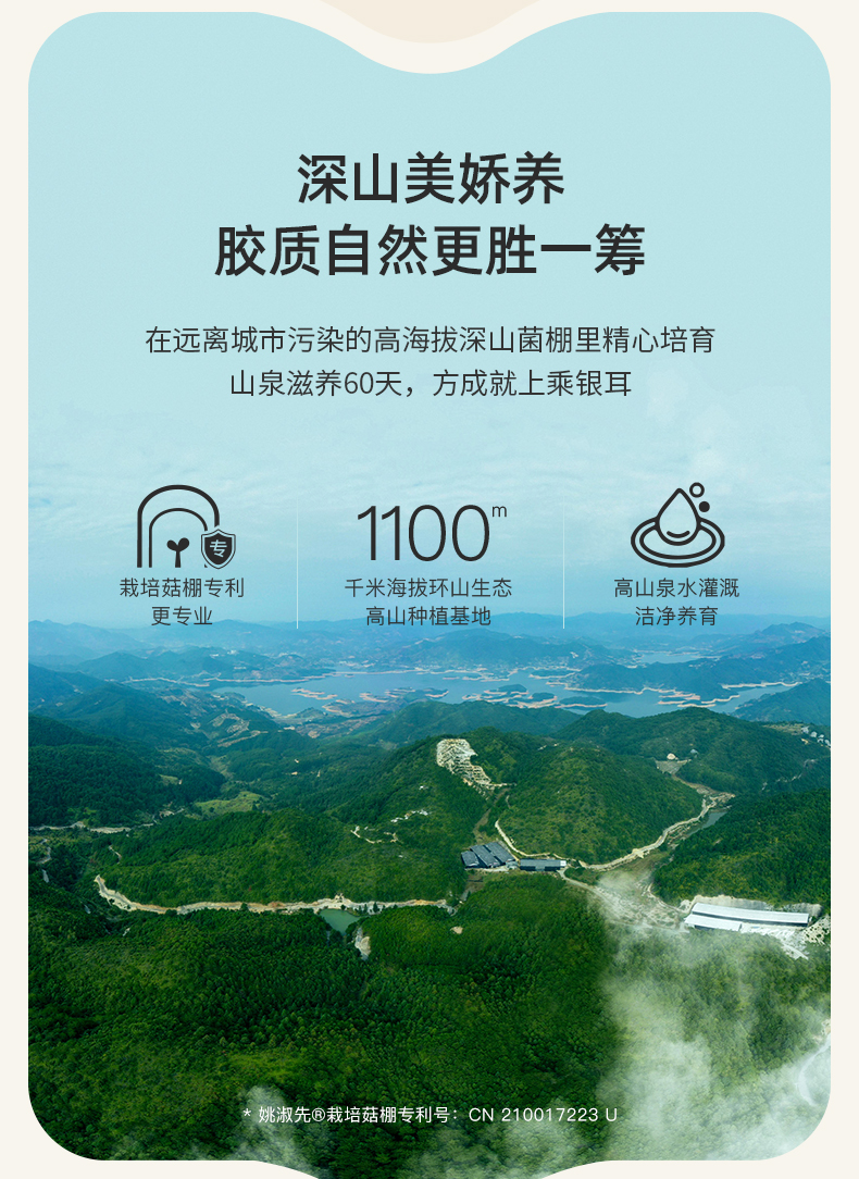 姚淑先本草银耳16天周期装48g