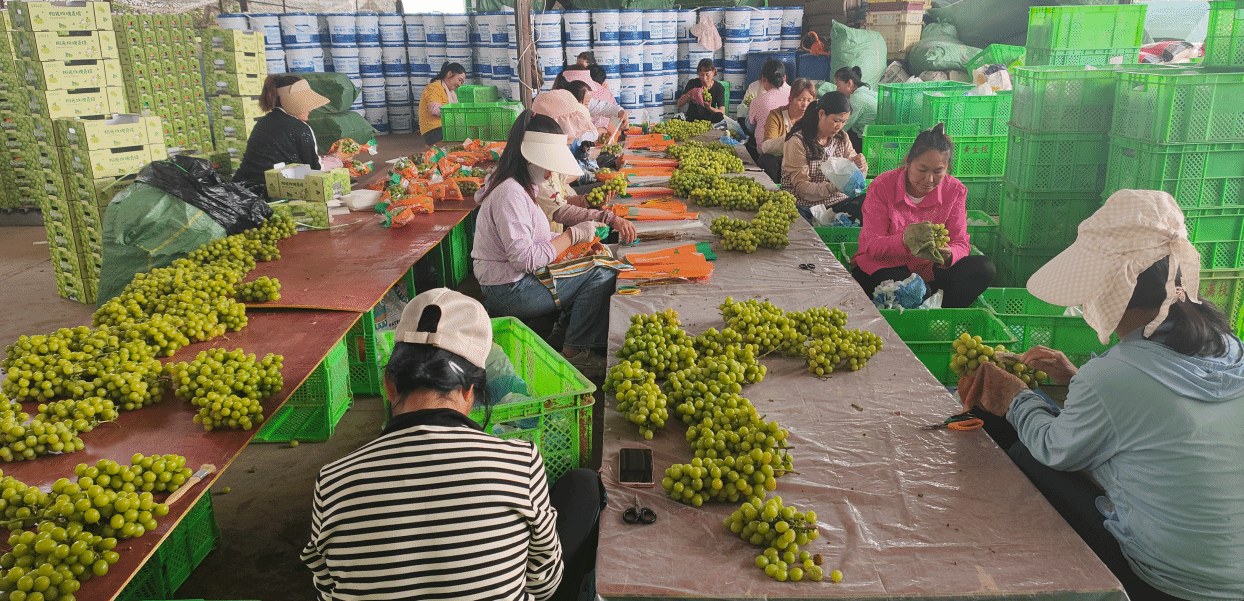 聚焦民生“微实事”，构建家庭一站式服务新体系