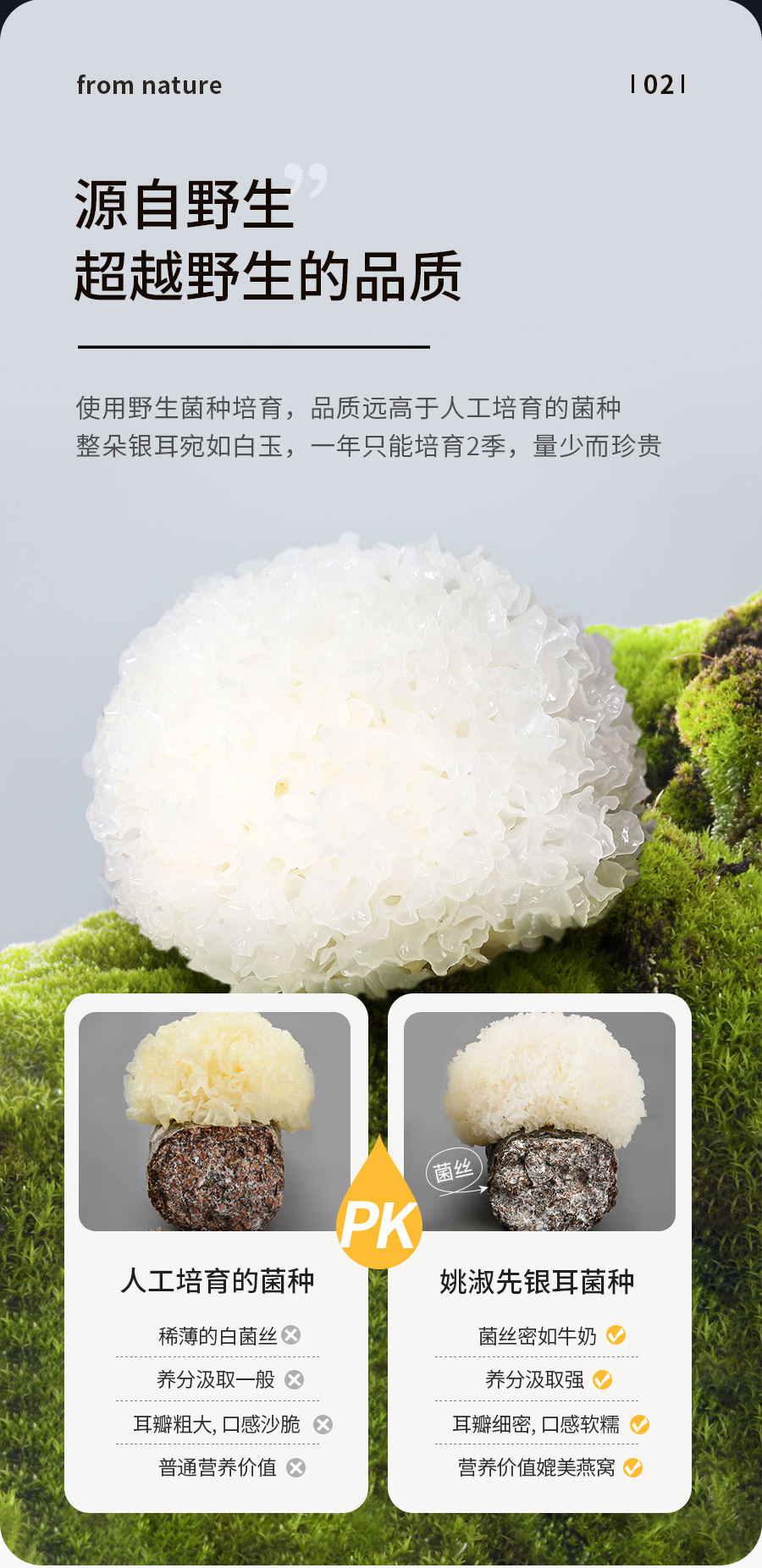 姚淑先本草银耳30天周期装66g