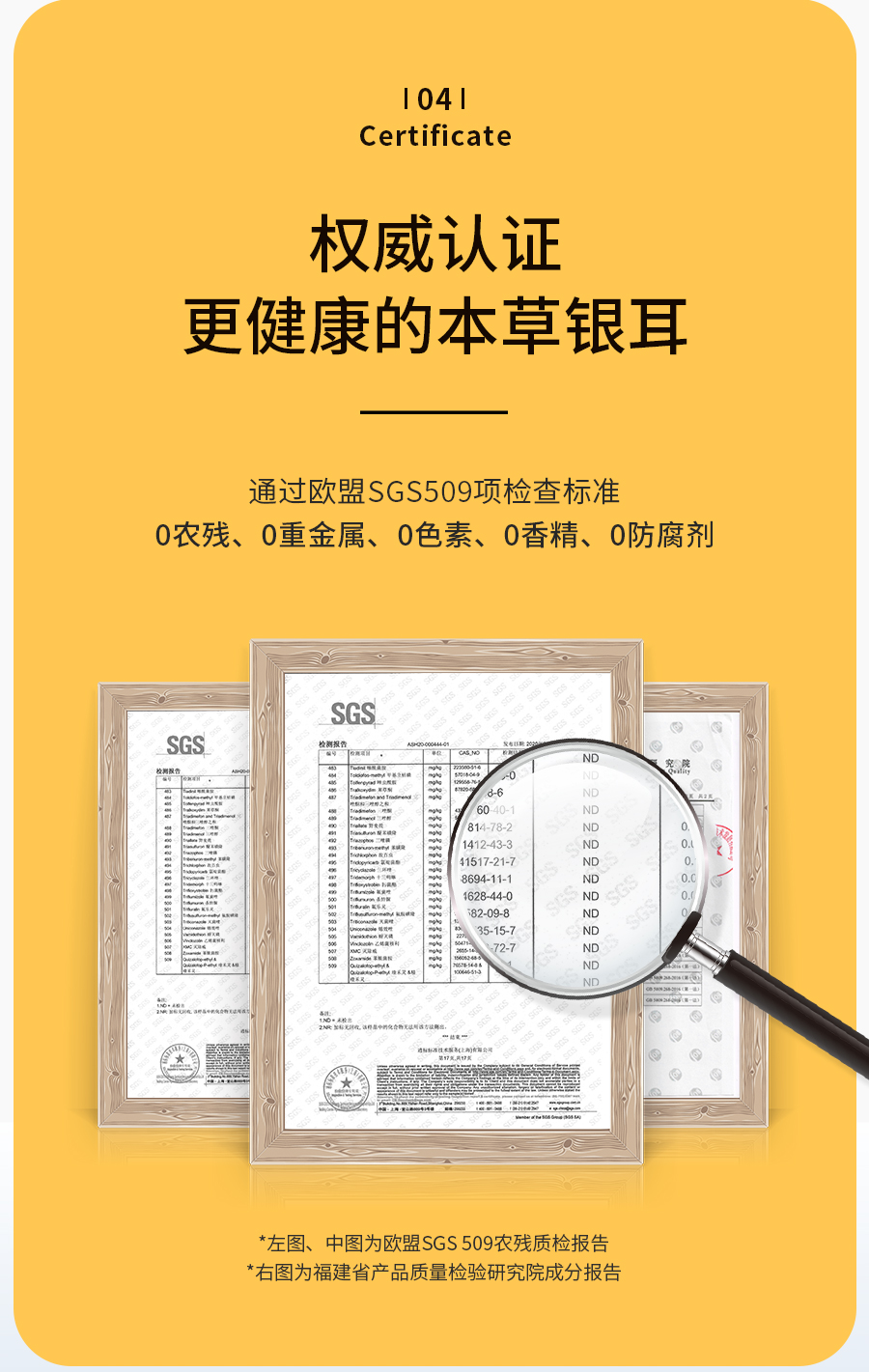 姚淑先本草银耳30天周期装66g