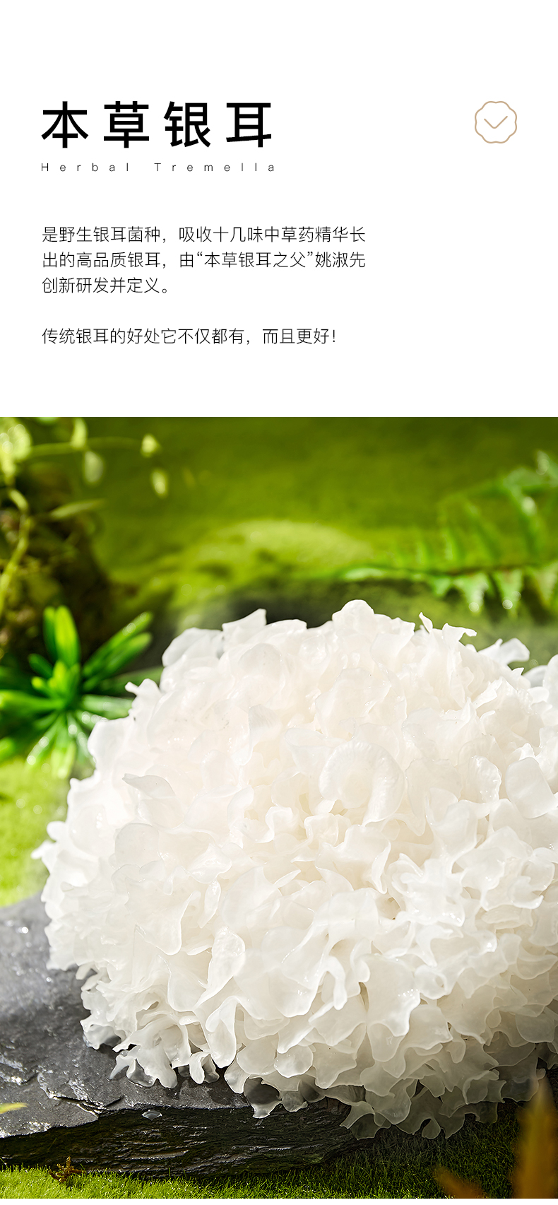 姚淑先本草银耳羹红枣味6瓶装