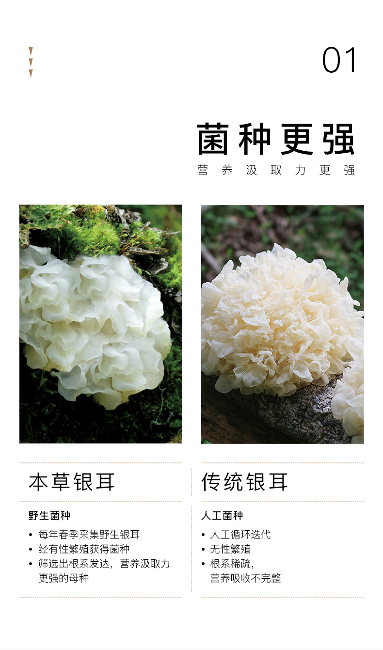 姚淑先本草银耳羹红枣味6瓶装