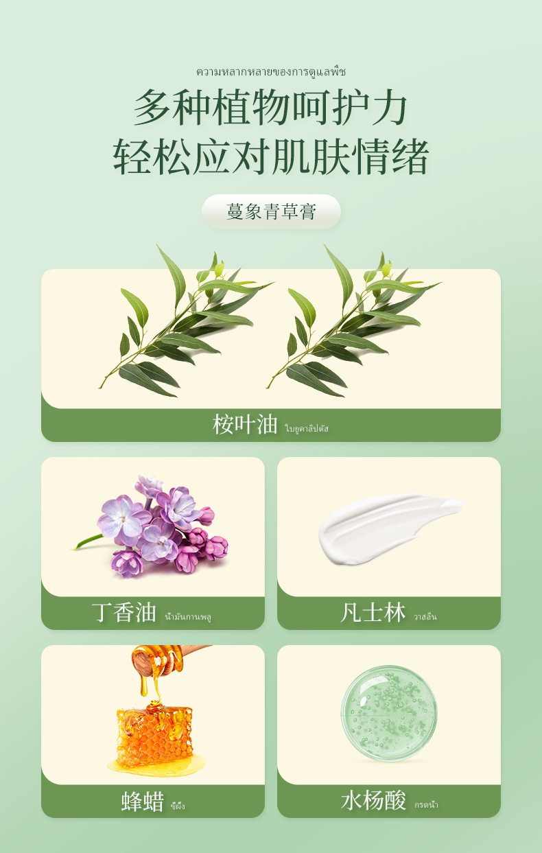 明日光蔓象青草膏