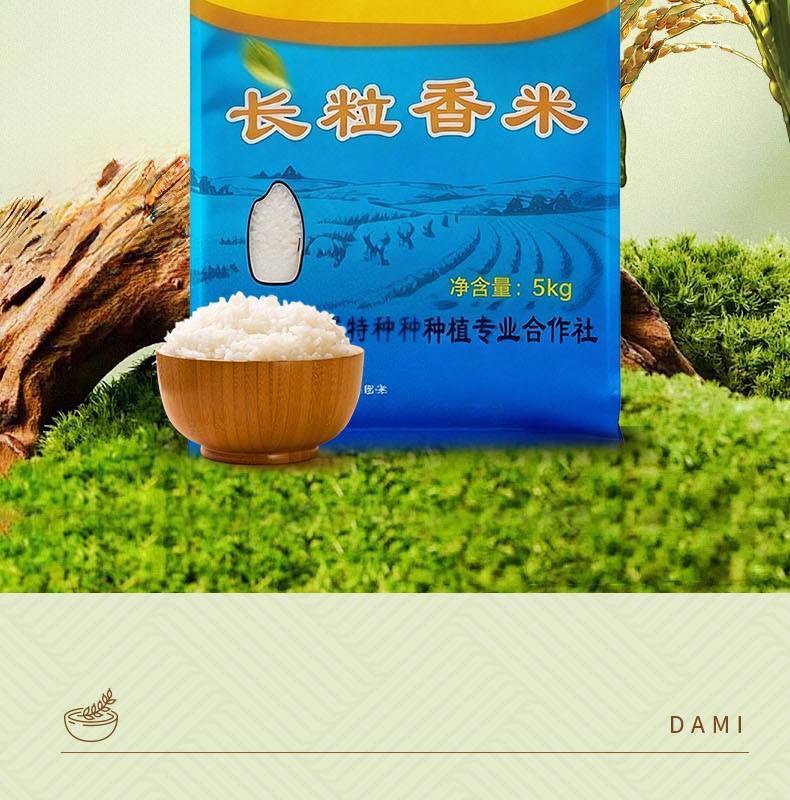 李红成长粒香米