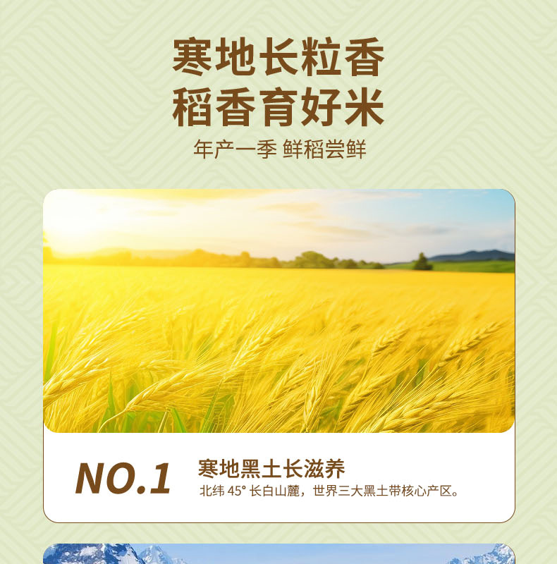 李红成长粒香米