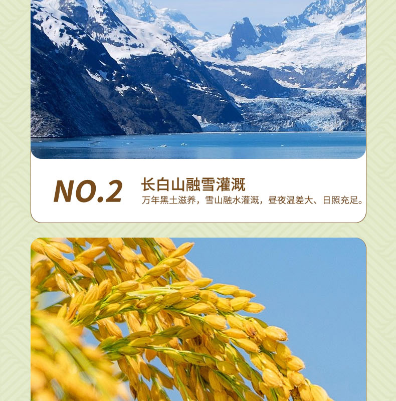 李红成长粒香米