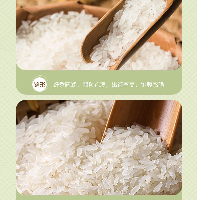 李红成长粒香米