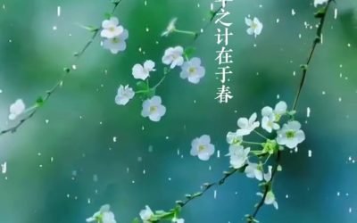 立春，一年之计在于春