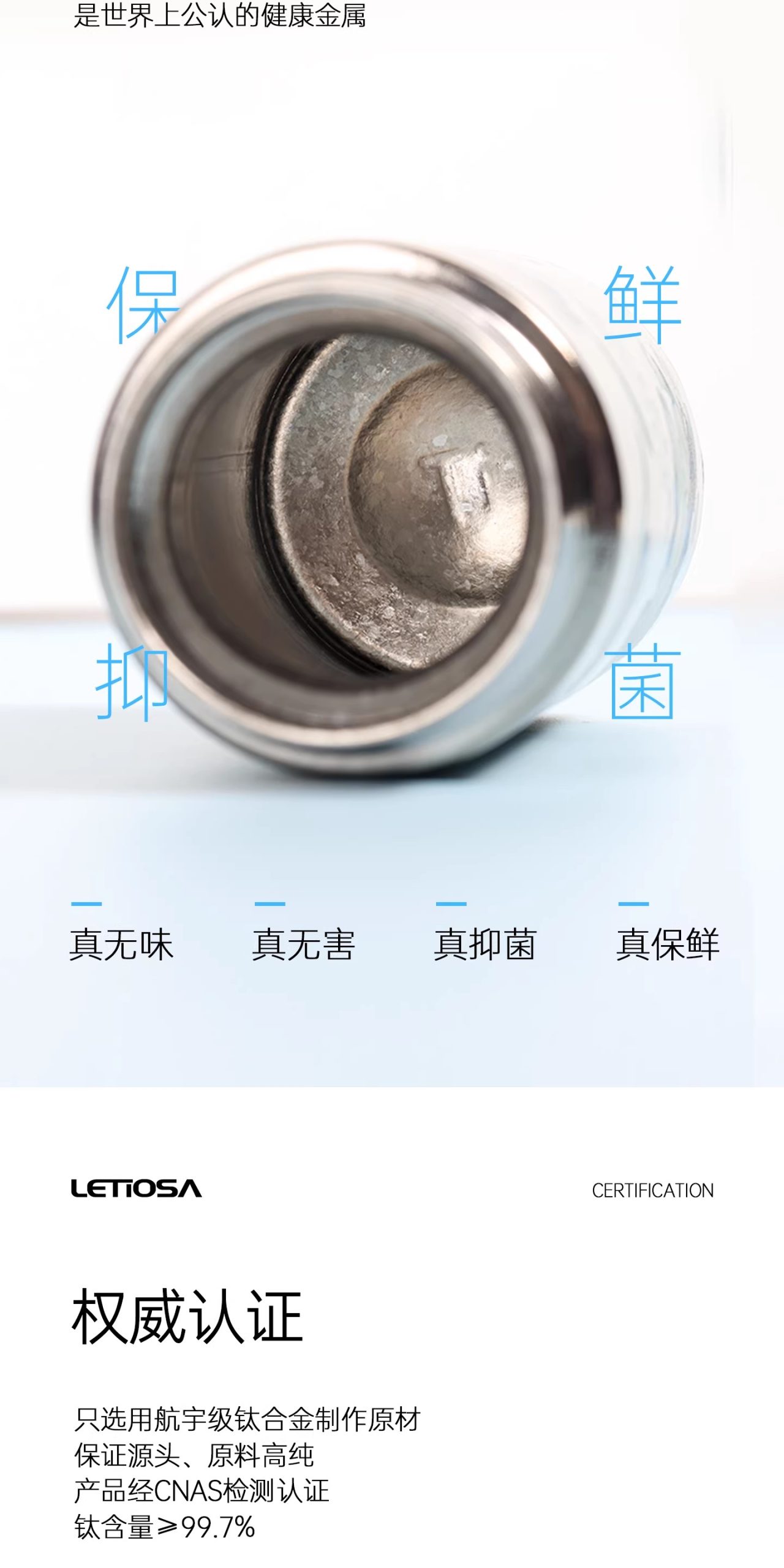 纯钛蓝莓花mini杯